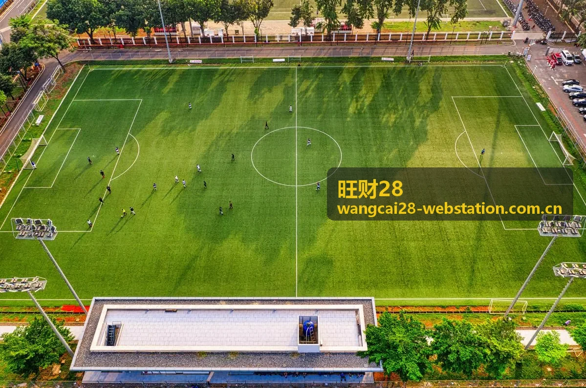 旺财28用户实践中的复盘与策略调整场景